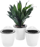 3 Pack Self Watering Wall Hanging Planter Pots Vertical Garden Window Hang Mount Indoor Outdoor Plant Flower Basket for Kitchen Herbs Balcony Railing Shelf Fence Bedroom Trellis Decor Modern White Box by CozyNest Decor