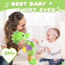Baby Toys 0 to 12 Months, Musical Stuffed Animal Activity Soft Toys with Multi-Sensory Crinkle, Rattle and Textures, Infant Tummy Time Toys for Newborn Boys Girls, Seahorse, Green by TinyTreasures Baby Boutique