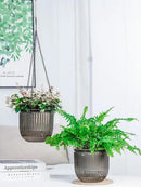 6.5 Inch 2 Pcs Self Watering Hanging Planter Indoor Plant Pots Drainage Holes, Outdoor Hanging Planters Flower Pot Basket, Visible Water Level, Plant Hanger Home Decor, Gardening by GreenHaven Gardens