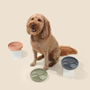 The Slowdown Bowl Silicone Slow Feeder for Dogs & Puppies, Slow Eating Modern Lick Mat Design Reduces Gulping, Fits 2 Cups 7.5” Across x 1.5” Tall, Mealtime Challenge, Medium-Sage by CozyNest Decor