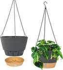 QCQHDU 2 Pack 10 inch Hanging Planters for Indoor Plants, Outdoor Hanging Baskets, Self Watering Pots with Drainage Holes & Removable Tray (Dark Grey, 10 inch) by GreenHaven Gardens