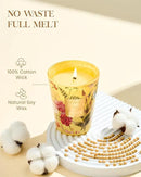 M&SENSE Orange Goji Scented Natural Soy Wax Candle, 14.1oz 60 Hours Long Lasting Slow Burning Candles for Home Decor, Aromatherapy Candle for Stress Relief by CozyNest Decor