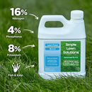 Advanced 16-4-8 Lawn Fertilizer - Liquid Lawn Food Spring & Summer Concentrated Spray - Any Grass Type- Fish and Seaweed Kelp- Balanced NPK - Simple Lawn Solutions (1 Quart) by GreenHaven Gardens