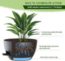 10 Inch Hanging Planters with Chains 2 Pack Self Watering Black Plastic Hanging Pots for Indoor Outdoor Plants, Garden Porch Home Decor (Black) by GreenHaven Gardens