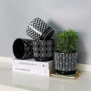Ton Sin Flower Pots,5.5 Inch Black Ceramic Planter with Drainage Hole,Indoor Cylinder Plant Pots with Saucer,Cactus Succulent Outdoor Garden Pots Set of 4 by GreenHaven Gardens