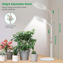 Grow Lights for Indoor Plants, Full Spectrum Desk Plant Light for Growing Small Plant, 80 LED Halo Plant Grow Light with Base, 6/12/16H Timer, 3 Light Modes,Height Adjustable 16.5-24.5" by GreenHaven Gardens