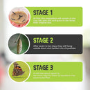 30 Live Caterpillars for Butterfly Habitat Kit - Refill for Painted Lady Butterfly Kit with Caterpillar Food, Instructions - Educational Science Kit, 6 Cups of 5 Caterpillars by TinyTreasures Baby Boutique
