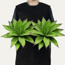Fake Plants Artificial Agave Plants,Large UV Resistant Fake Agave Planters for Indoor and Outdoor Decorating Tropical Plant Succulents Greenery Indoor Decor13.8 (2Pack, Dark Green) by GreenHaven Gardens
