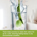 Buart Artificial Tulip in Bulk for Home Kitchen Wedding Bridal Bouquet,Fake Flowers for Valentine's Day Mother's Day Easter Table Centerpieces Decorations(Green,Real-Touch,12pcs) by CozyNest Decor