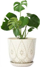 Gepege 10 Inch Plant Pot, Creamy White Ceramic Planter with Drainage Holes and Saucers for Plants Indoor and Outdoor Flower Pot by GreenHaven Gardens