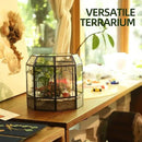 Large Glass Terrarium Handmade, Centerpiece Display Box Gift Planter Containers Indoor Terrariums House for Succulent Cacti Air Plants Miniature Fairy Garden by CozyNest Decor