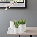 Docrin Plant Pots Indoor with Drainage: 6.4+5.3+4 Inch Ceramic Flower Pots for Plants - Set of 3 Modern Decorative Planters for House/Office/Gift - White Honeycomb by GreenHaven Gardens