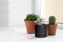 D'vine Dev Set of 4 Small Ceramic Plant Pots, 4.6 Inch Succulent Planter Pot for Plants with Drainage Hole and Saucer, Black, 94-X-B-2 by GreenHaven Gardens