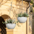 La Jolie Muse White Hanging Planter Basket - 8 Inch Indoor Outdoor Flower Pots, Plant Containers W/ Drainage Hole, Plant Pot for Hanging Plants, Pack 2 by GreenHaven Gardens
