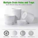 6 Inch Plant Pots Bulk, 6 Pack Plastic Planters with Drainage Holes and Saucers for Indoor Outdoor House Plants and Flowers,White Spots by GreenHaven Gardens