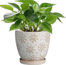 6.9 Inch Plant Pot with Drainage Hole and Saucer Ceramic Planter for Indoor Plant Flower Pot for Orchid Succulents Plants White by CozyNest Decor