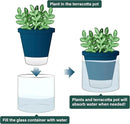 D'vine Dev 4 Inch Design Self Watering Planter for Indoor Plants, Blue Terracotta Pot with Cylinder Glass Cup, Set of 4, 37-Z-A-4-F by GreenHaven Gardens