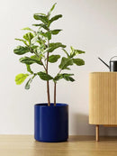 LE TAUCI 12 Inch Pots for Plants, Ceramic Large Plant Pot for Indoor Plants, Mid-Century Modern Flower Planter Pots with Drainage Hole and Removable Plug, Round Planter Pot, Sapphire Blue by CozyNest Decor