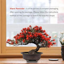 Fake Plants Plastic Artificial Bonsai Tree, Red Bonsai Tree for Home Bedroom Office Desk Farmhouse Room Decor, Tall 9.5" by GreenHaven Gardens
