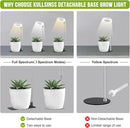 Grow Lights for Indoor Plants, 48 LEDs Full Spectrum Halo Plant Light for Indoor Plants, Height Adjustable Growing Lamp with Detachable Base, 3 9 12Hrs Timer, 10 Brightness, 3 Pack by GreenHaven Gardens