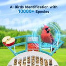 Smart Bird Feeder with Camera, 2K HD Bird Feeders for Outdoors with Solar Panel, Al Identification, Idea Gift, Blue by CozyNest Decor