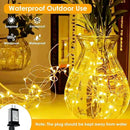 66Ft 200LED Fairy Lights Plug in with Remote, Waterproof String Lights Outdoor & Indoor 8 Modes with Timer, LED Twinkle Lights for Girl's Room Garden Patio Halloween Christmas Decorations (Warm White) by GreenHaven Gardens