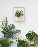 yadoker Wall Planters for Indoor Plants,Bamboo Hanging Plant Holders, Wall Decor Plant Stand, 1-Pack Window Plant Shelves for Living Room & Entryway by GreenHaven Gardens