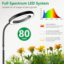 Grow Lights for Indoor Plants, Full Spectrum Floor Standing Plant Lights with 68" Stand for Growing Large Tall Plants, Black Halo LED Plant Grow Light with 6/12/16H Timer by GreenHaven Gardens