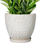 G EPGardening 10 Inch Ceramic Planter Pot with Drainage Hole and Saucer Large Plant Pot for Indoor Plants Outdoor Round Flower Pot for Home Garden Office White by GreenHaven Gardens