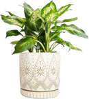 8 Inch Indoor Plant Pot with Drainage Holes and Saucers, Ceramic Planter for Plants, Succulent Orchid Flower Pots by CozyNest Decor