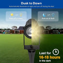 ZYAN Solar Landscape Spotlights Outdoor Waterproof IP65, Bright Solar Powered Garden Yard Spot Lights for Outside Plant, Tree, Pathway, Auto On/Off Wall Lights for Walkway, Patio, Lawn-8 Pack by GreenHaven Gardens