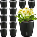 Self Watering Pots for Indoor Plants, 12-Pack 5'' Self Watering Planter with Drainage Holes, Small African Violet Pots with Water Level Indicator, Clear Wick Pot, Black by CozyNest Decor