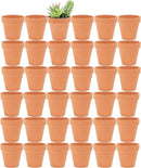 Yishang 2.5 inch Terracotta Pots with Drainage Holes,Small Mini Clay Ceramic Pottery Planter,Cactus Flower Terra Cotta Pots,Succulents Nursery Pots for Indoor/Outdoor Plants,Crafts,Wedding-36 Pack by GreenHaven Gardens