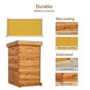 VINGLI 10-Frame Bee Hive, Wax Coated Beehive Starter Kit with Frames & Beeswax Coated Foundation Sheets (3 Layer) by GreenHaven Gardens