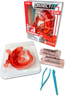 Dissect-It Kit for Kids, Simulated Synthetic Lab Dissection Toy, Salamander STEM Toys for Animal Science, Biology, and Anatomy by TinyTreasures Baby Boutique