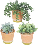 3 Pcs Artificial Succulent Plants Potted False Succulent Plants Potted Faux Potted Plant Family Office Bookshelf Decor by GreenHaven Gardens