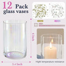 12pc Glass Cylinder Bud Vases for Centerpieces,6 inch Tall Irised Crystal Clear Flower Vases in Bulk,Hurricane Glass Candle Holders for Table Centerpiece Formal Dinners Home Decor by GreenHaven Gardens