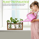 Plant Propagation Station Plant Terrarium Unique Birthday Gifts for Women Plant Lovers Home Office Decor Planter with Wooden Stand - 3 Bulb Glass Vase by GreenHaven Gardens