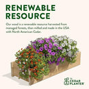Greenes Fence Cedar Wood Planter Box with Rail Mount Brackets, 32" x 11" x 7" - Made in USA with North American Cedar by GreenHaven Gardens