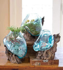 Hand Blown Molten Glass & Teak Wood Terrarium/Vase/Fish Bowl - Premium Quality (10" - 12" High) by CozyNest Decor