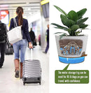 Self Watering Pots for Indoor Plants,12 inch Planters with Drainage Holes Plastic Flower Pots with Deep Reservoir, White with Brown by CozyNest Decor