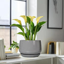 G EPGardening Ceramic Plant Pots - 9 Inch Modern Round Planter with Drainage and Plant Saucer for Indoor Outdoor Flower, Apartment Decor, Birthday Gifts, Grey by GreenHaven Gardens