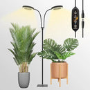 GLOWRIUM Grow Light with Stand,2-Head LED Plant Light for Indoor Plants, Full Spectrum Grow Lamp, 3/9/12H Timer, 6 Dimmable Levels, 3 Lighting Mode, Adjustable Height by GreenHaven Gardens