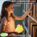 Cute Capybara Night Light, LED Capybara Lamp Rechargeable Touch Bedside Lamp,Squishy Animal Nightlight,3 Levels Dimmable,30Min Timer Nursery Night Light for Kids, Bedroom Baby Boys Girls Gifts by TinyTreasures Baby Boutique
