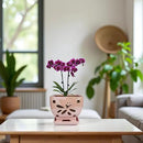 Orchid Pots with Holes Square Ceramic Orchid Planter Pots 5.5 inch (Pink) by GreenHaven Gardens