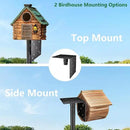 Bird Feeder Pole Stand,95 Inch House Pole for Outdoors Weather Station,Heavy Duty Metal Mount Kit Adjustable Multifunctional Bird Feeder Set by GreenHaven Gardens