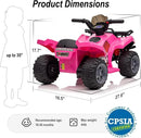 Kids ATV 4 Wheeler, 6V Ride-On Toy for Toddlers Boys & Girls with Music, Forward & Reverse - Rose Pink by TinyTreasures Baby Boutique