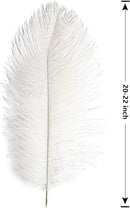 THARAHT 12pcs White Ostrich Feathers Natural Bulk 20-22Inch 50cm-55cm for Wedding Party Centerpieces Easter Gatsby and Home Decorate Ostrich Feathers by CozyNest Decor