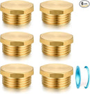 3/4" GHT Male Brass Pipe Plug Outer Garden Hose Male Threaded End Cap Plug Garden Irrigation Pipe Fittings Water Tubing Stopper （6 PCS） by GreenHaven Gardens