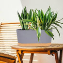 QCQHDU 16" L x 7.6" W x 7" H Window Planter Box, 2 Pack Self Watering Pots for Indoor Plants with Drainage Holes & Saucer, Outdoor Flower Pots Home Garden Modern Decor by GreenHaven Gardens